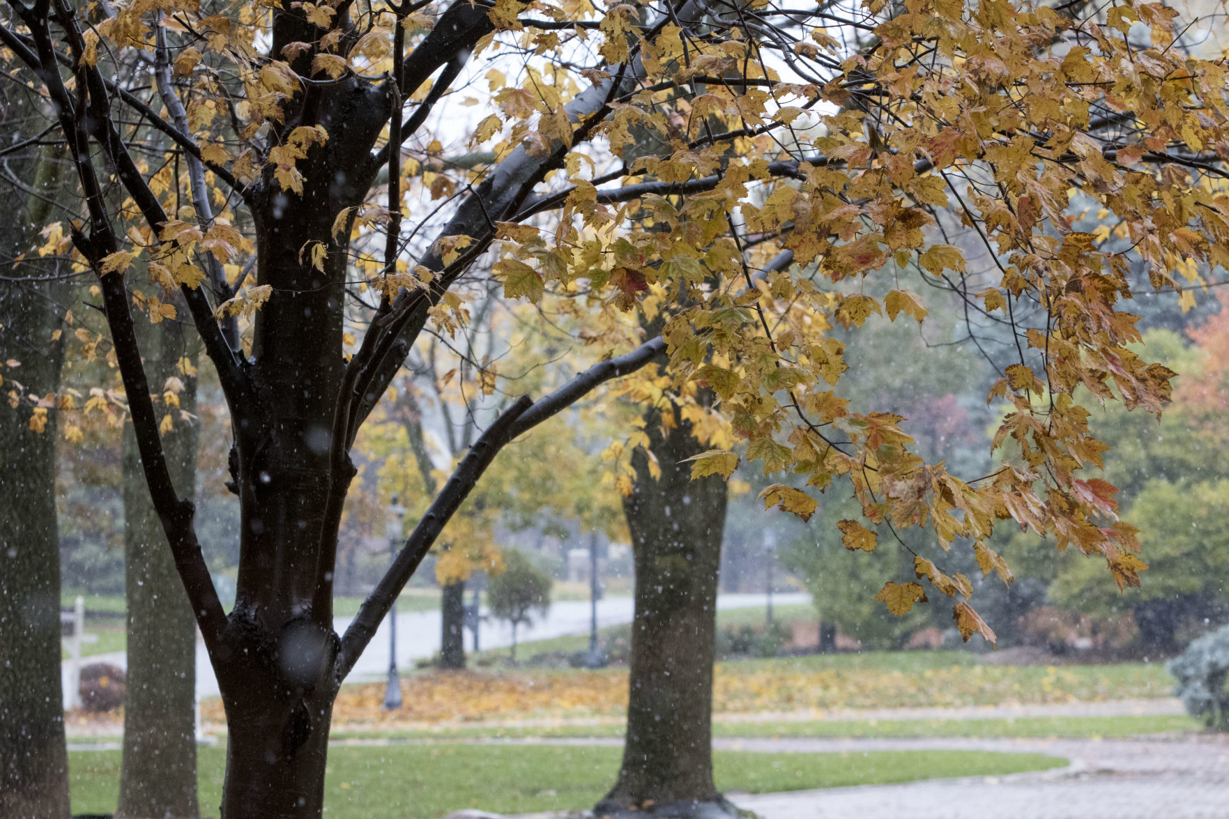 October Snow